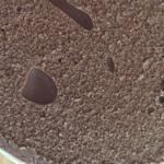[IMAGE: mocha]